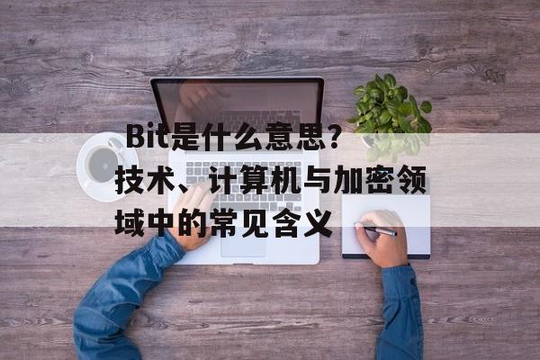  Bit是什么意思？技术、计算机与加密领域中的常见含义