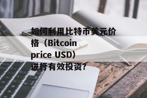 如何利用比特币美元价格（Bitcoin price USD）进行有效投资？